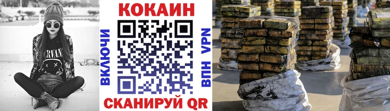 сколько стоит  Нижняя Тура  COCAIN Fish Scale 