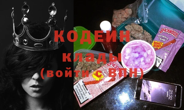прущие грибы Абинск