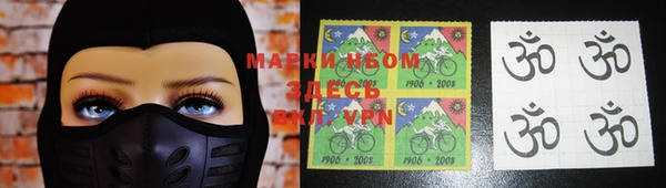 прущие грибы Абинск