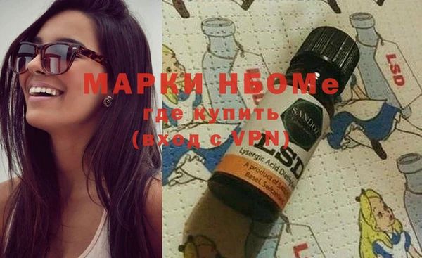 прущие грибы Абинск