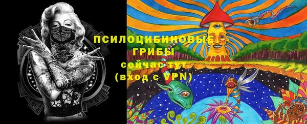 марки lsd Абаза