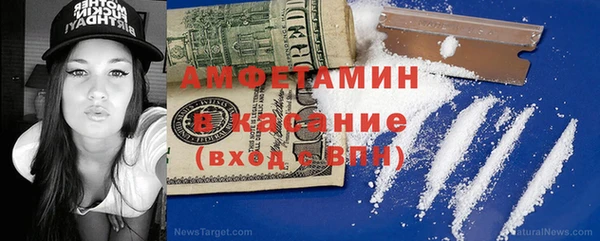 прущие грибы Абинск