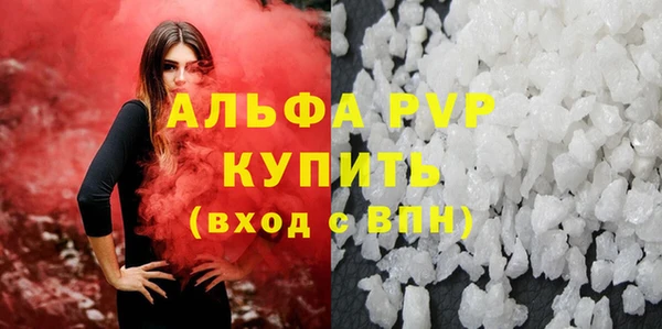 PSILOCYBIN Дмитриев